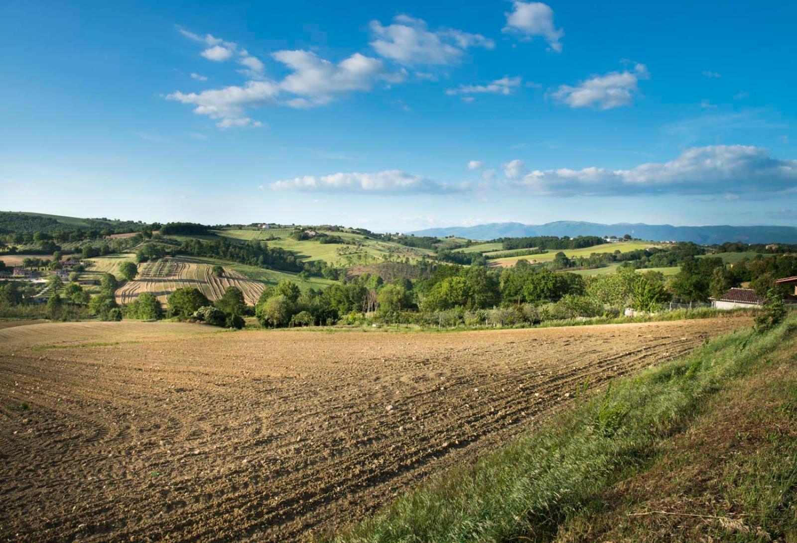 Agriturismo Piano Grande Avigliano Umbro 外观 照片