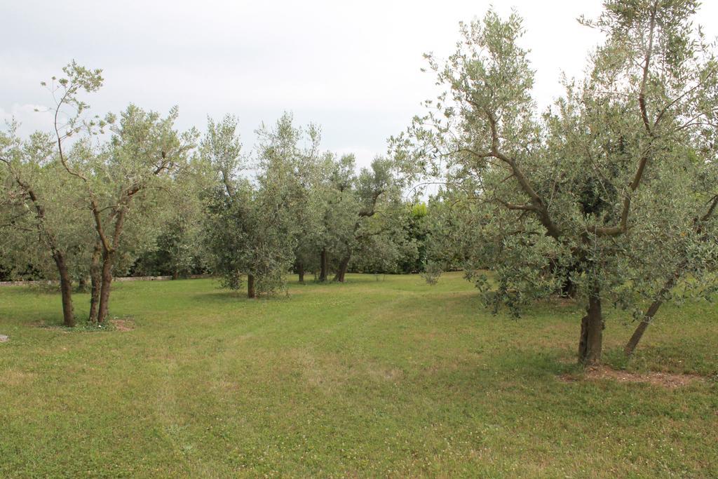 Agriturismo Piano Grande Avigliano Umbro 客房 照片